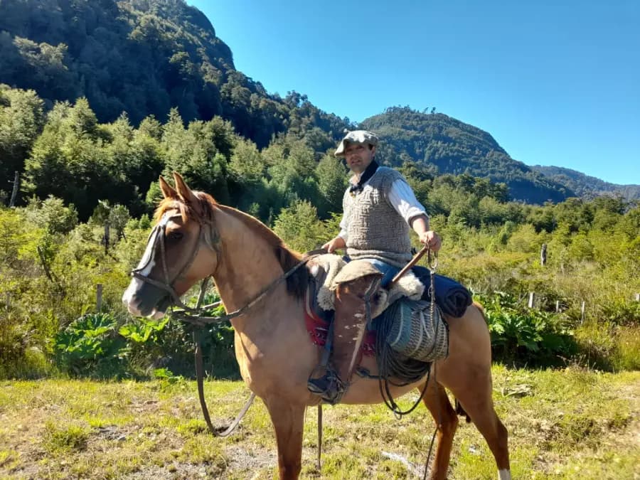 COCHAMÓ