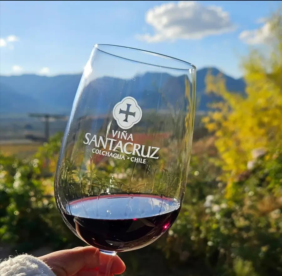 Viña Santa Cruz